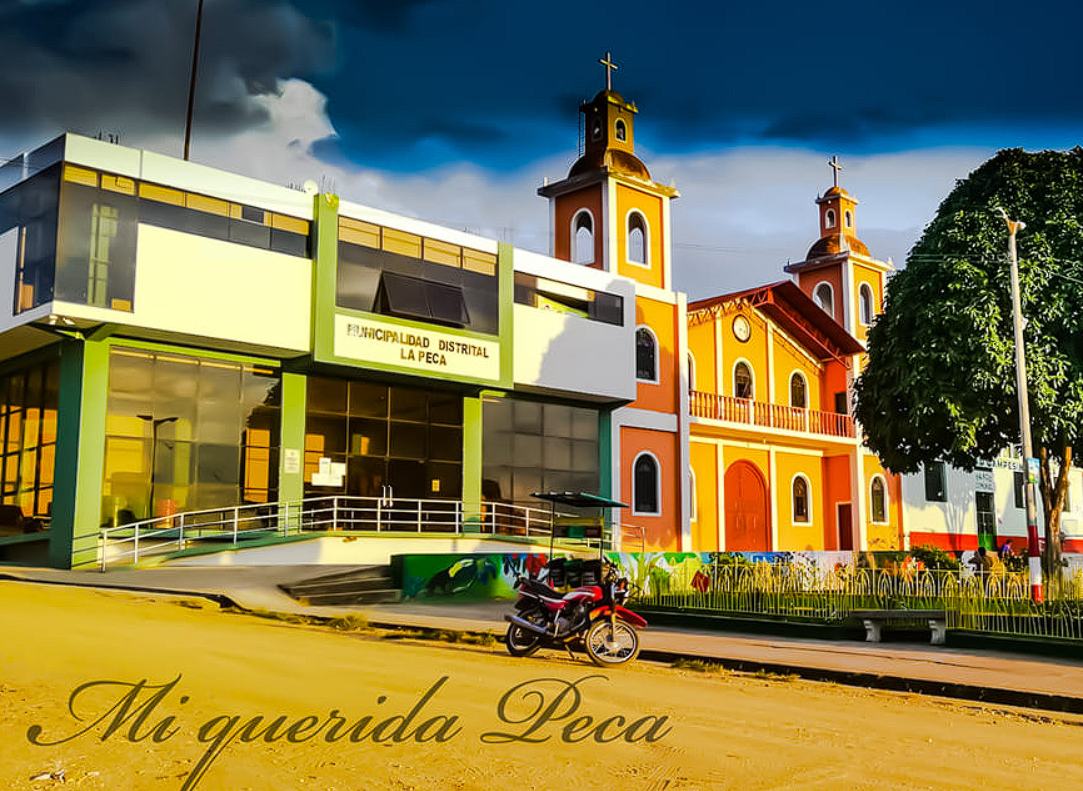 Municipalidad Distrital de La Peca - Amazonas
